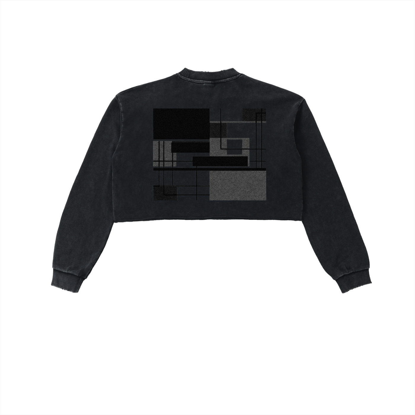 Snow Washed Raw Edge Cropped Sweatshirt